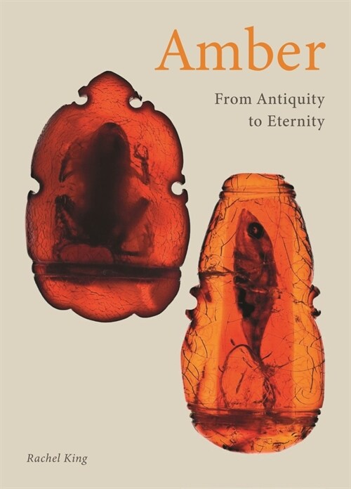 Amber : From Antiquity to Eternity (Hardcover)