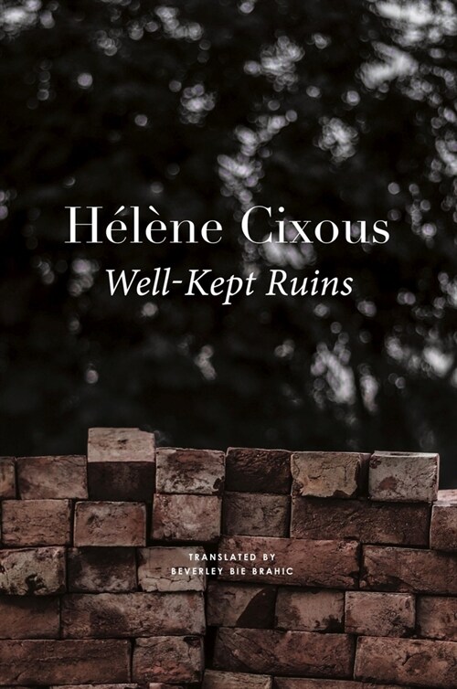 Well–Kept Ruins (Hardcover)