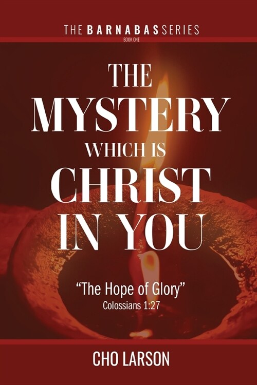 The Mystery Which Is Christ in You: The Hope of Glory (Colossians 1:27) (Paperback)