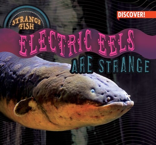 Electric Eels Are Strange (Library Binding)