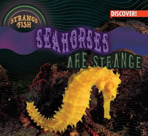 Seahorses Are Strange (Paperback)