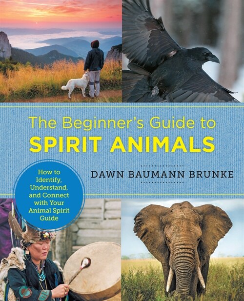 The Beginners Guide to Spirit Animals: How to Identify, Understand, and Connect with Your Animal Spirit Guide (Paperback)