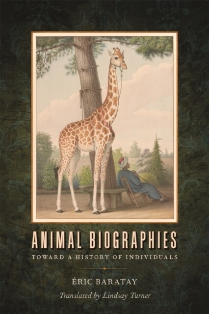 Animal Biographies: Toward a History of Individuals (Paperback)