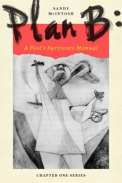 Plan B: A Poets Survivors Manual (Paperback)