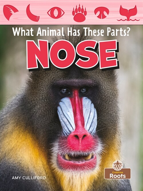 Nose (Paperback)