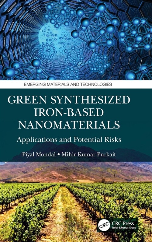 Green Synthesized Iron-based Nanomaterials : Applications and Potential Risks (Hardcover)