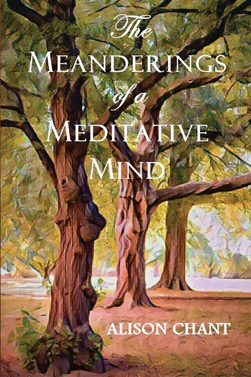 The Meanderings of a Meditative Mind (Paperback)