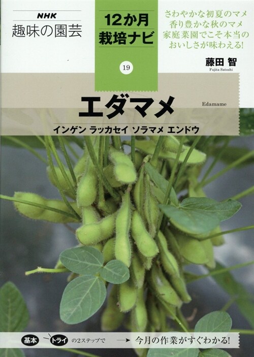 エダマメ インゲンラッカセイソラマメエンドウ(NHK趣味の園芸 12か月栽培ナビ 19)