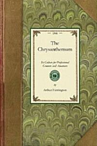 The Chrysanthemum (Paperback)