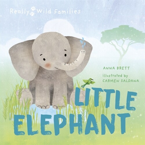 Little Elephant : A Day in the Life of a Elephant Calf (Hardcover)