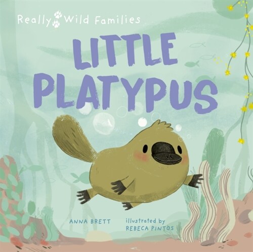 Little Platypus : A Day in the Life of a Platypus Puggle (Hardcover)