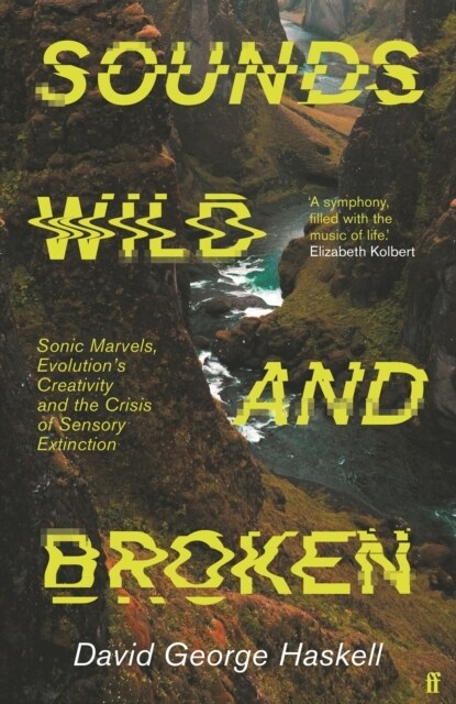 Sounds Wild and Broken (Hardcover, Main)