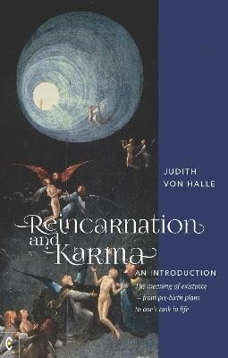 Reincarnation and Karma, An Introduction : The meaning of existence - from pre-birth plans to ones task in life (Paperback)