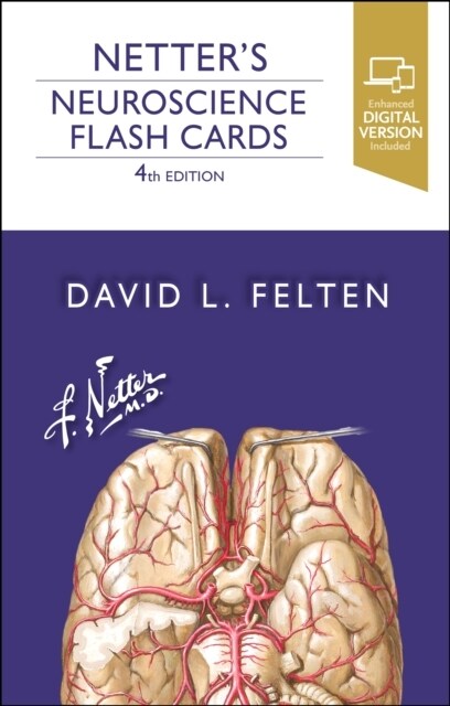 Netters Neuroscience Flash Cards (Hardcover, 4)