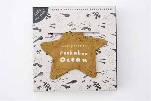 Peekaboo Ocean (Rag book)