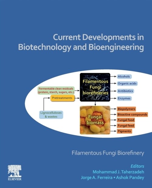 Current Developments in Biotechnology and Bioengineering: Filamentous Fungi Biorefinery (Paperback)