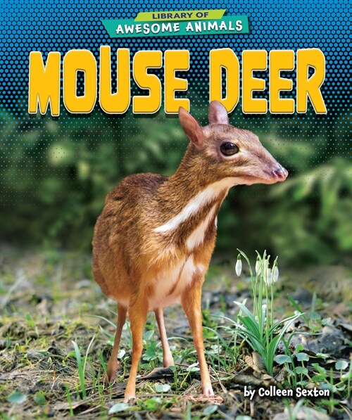 Mouse Deer (Library Binding)