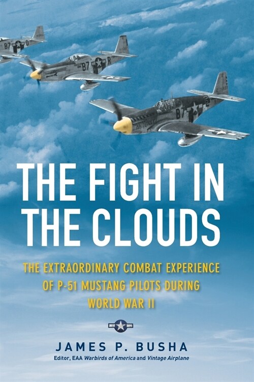 The Fight in the Clouds: The Extraordinary Combat Experience of P-51 Mustang Pilots During World War II (Paperback)
