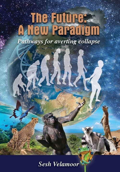 The Future: A New Paradigm - Pathways For Averting Collapse (Hardcover)