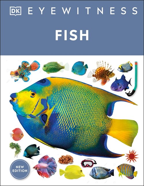 [중고] Eyewitness Fish (Paperback)