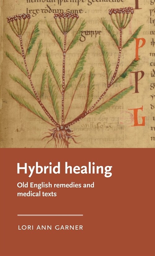 Hybrid Healing : Old English Remedies and Medical Texts (Hardcover)