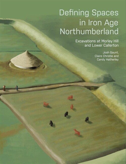 Defining Spaces in Iron Age Northumberland : Excavations at Morley Hill and Lower Callerton (Paperback)