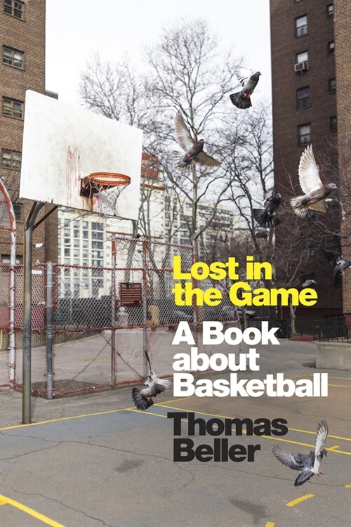 Lost in the Game: A Book about Basketball (Paperback)