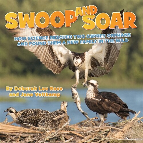 Swoop and Soar: How Science Rescued Two Osprey Orphans and Found Them a New Family in the Wild (Hardcover)