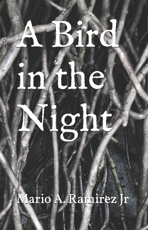 A Bird in the Night (Paperback)