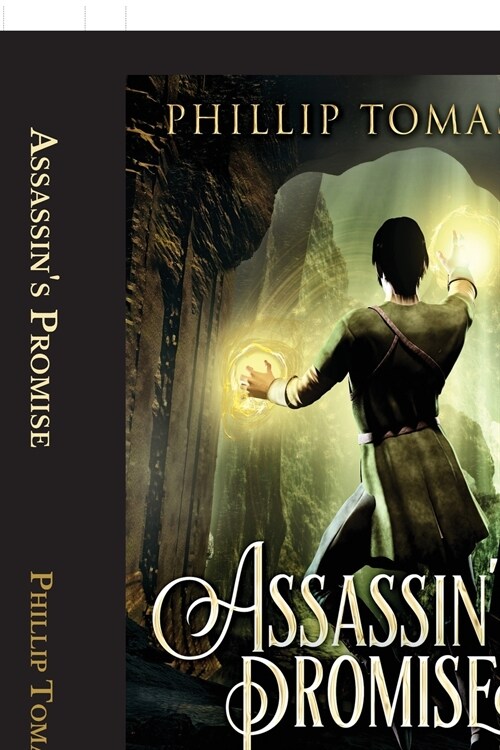 Assassins Promise (Paperback)