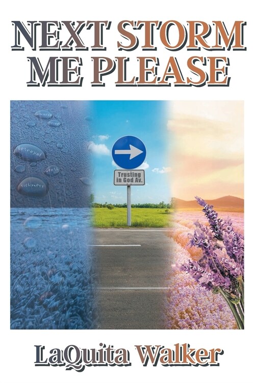 Next Storm Me Please (Paperback)