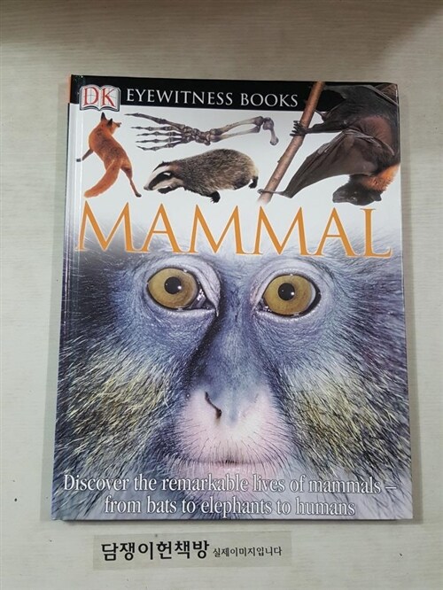 [중고] Mammal (Hardcover)