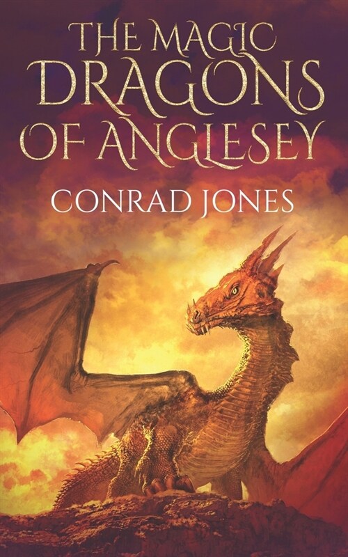 The Magic Dragons of Anglesey: The Rock Goblins (Paperback)