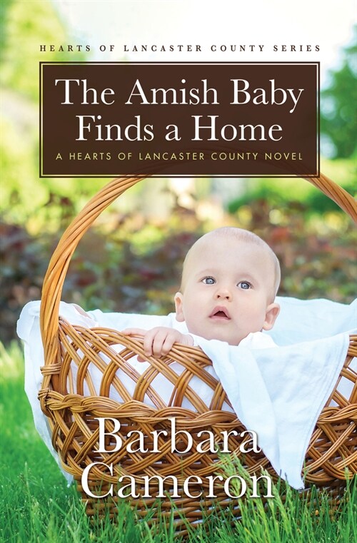 The Amish Baby Finds a Home: A Hearts of Lancaster County Novel (Library Binding)