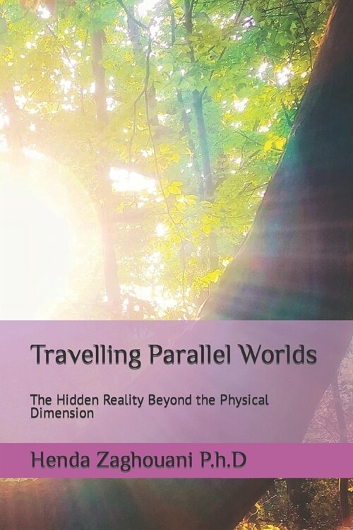 Travelling Parallel Worlds: The Hidden Reality Beyond the Physical Dimension (Paperback)