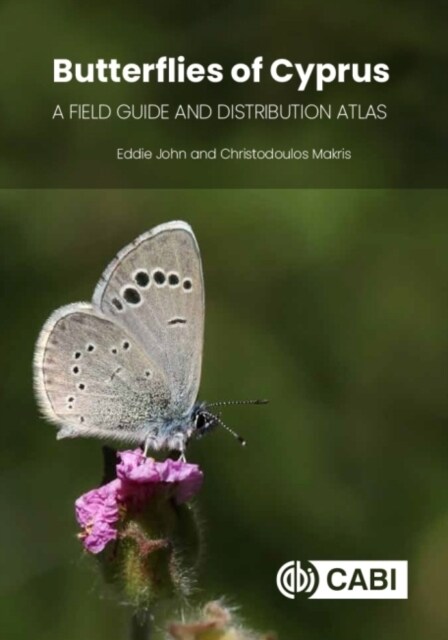 Butterflies of Cyprus : A Field Guide and Distribution Atlas (Hardcover)