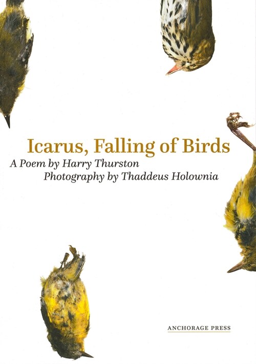 Icarus, Falling of Birds (Paperback)