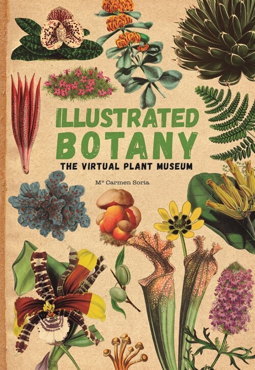 Illustrated Botany: The Virtual Plant Museum (Hardcover)