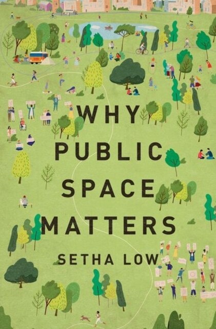Why Public Space Matters (Hardcover)