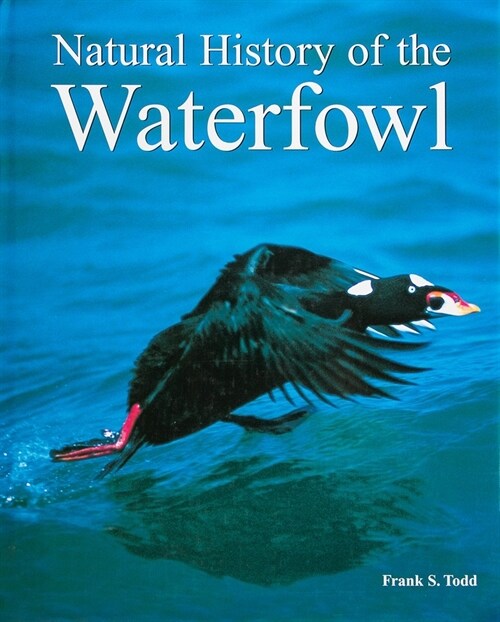 Natural History of the Waterfowl (Hardcover)