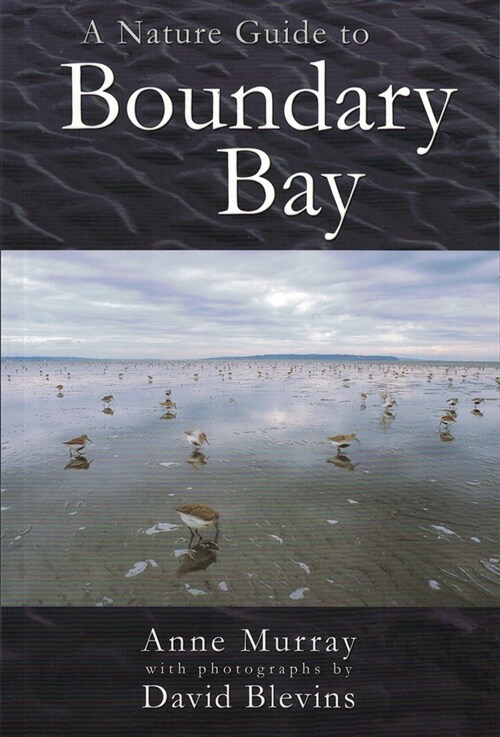 A Nature Guide to Boundary Bay (Paperback)