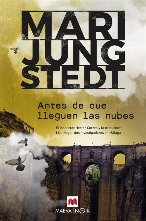 ANTES DE QUE LLEGUEN LAS NUBES (Book)