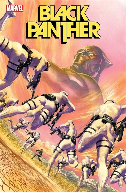 Black Panther by John Ridley Vol. 2: Range Wars (Paperback)