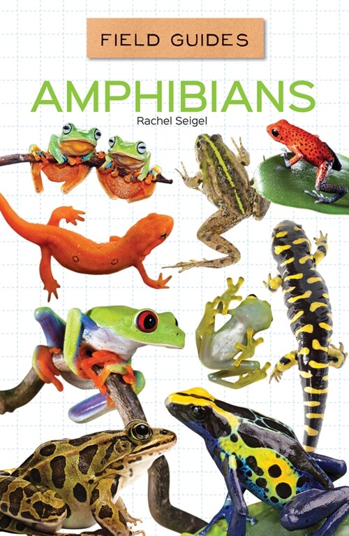 Amphibians (Library Binding)
