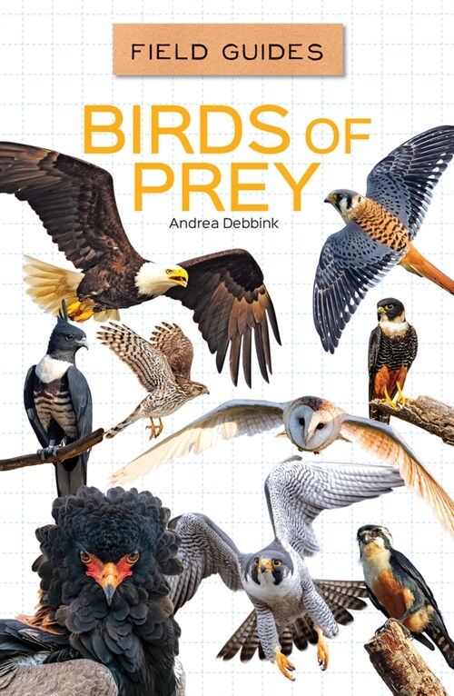 Birds of Prey (Library Binding)