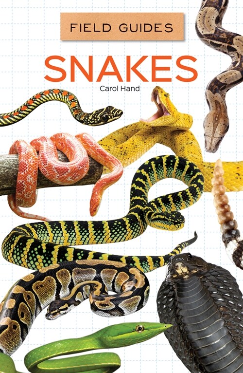 Snakes (Library Binding)