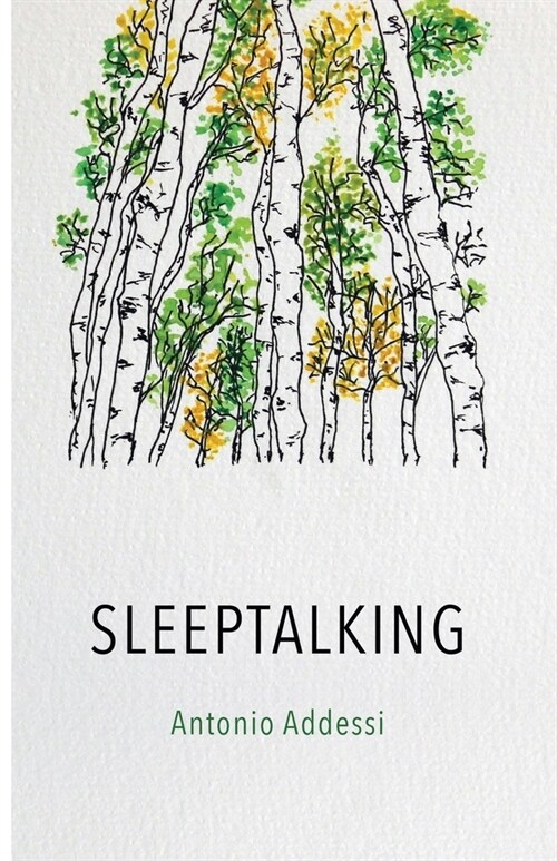 Sleeptalking (Paperback)