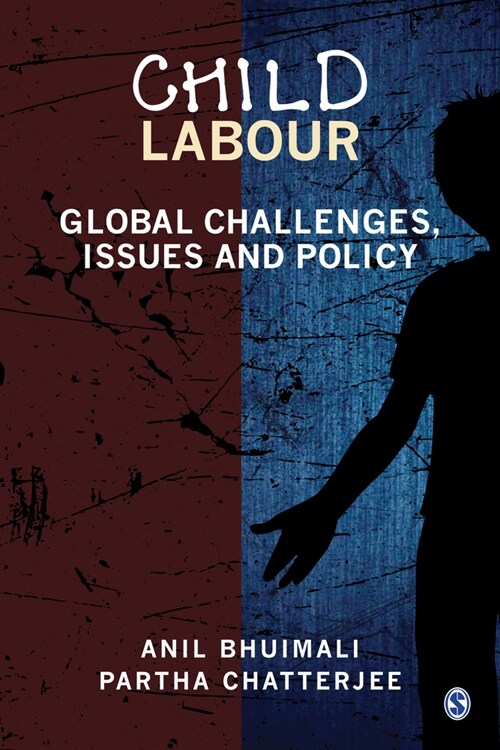 Child Labour: Global Challenges, Issues and Policy (Hardcover)