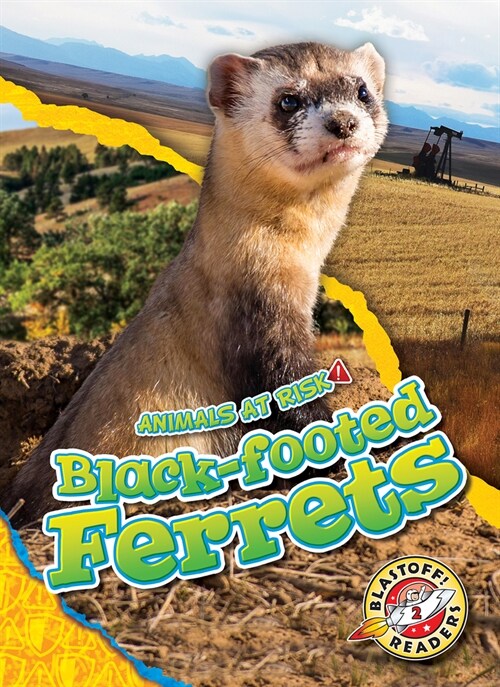 Black-Footed Ferrets (Library Binding)