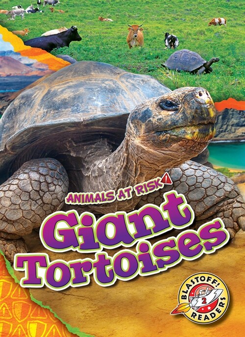 Giant Tortoises (Library Binding)